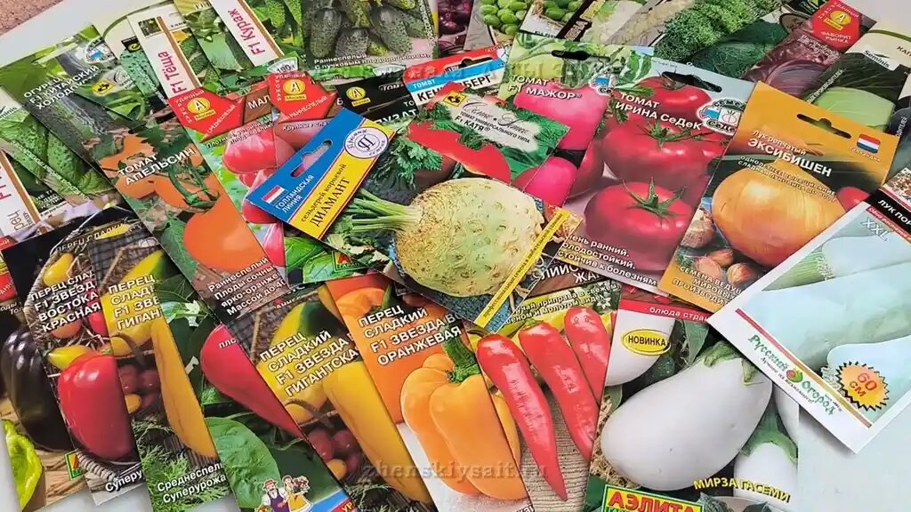 Какие овощи сеять на рассаду в феврале