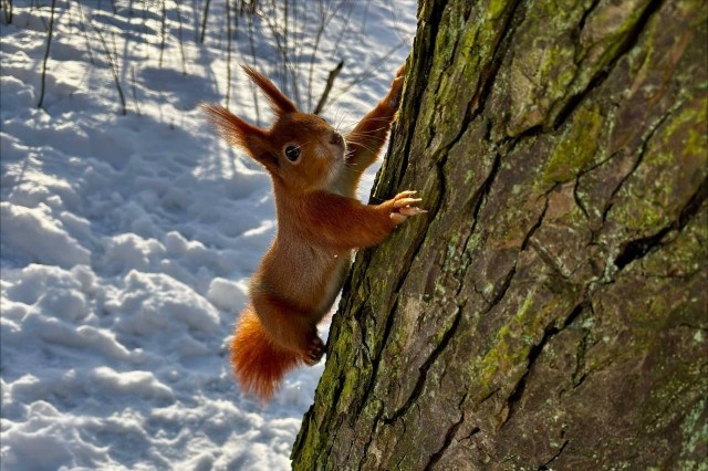   Фото из архива Калининград.Ru