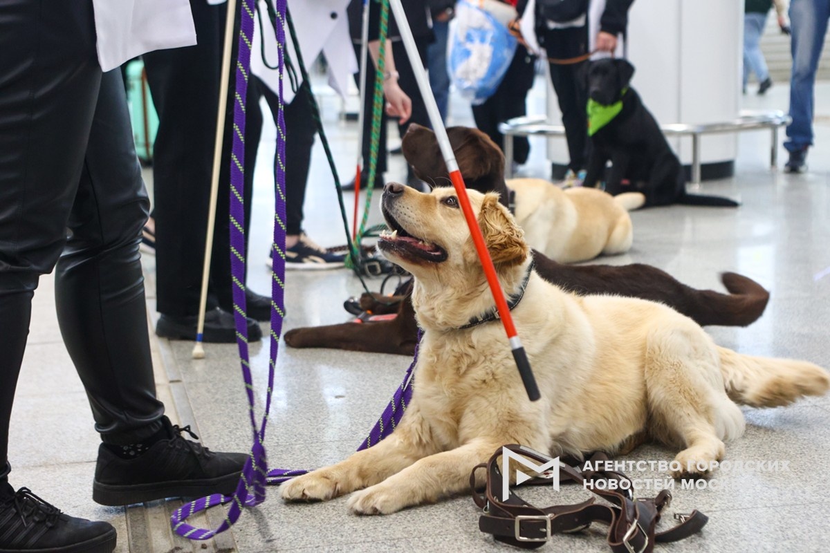 Фотограф: Ярослав Чингаев