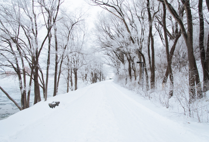 фото: pxhere.com