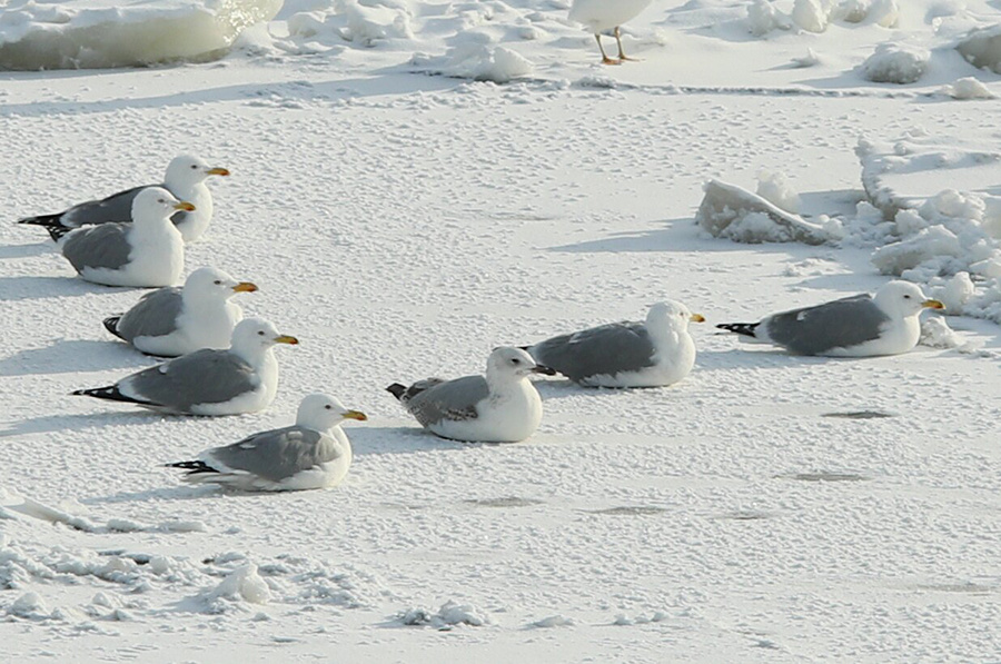    ©Агентство городских новостей "Москва"