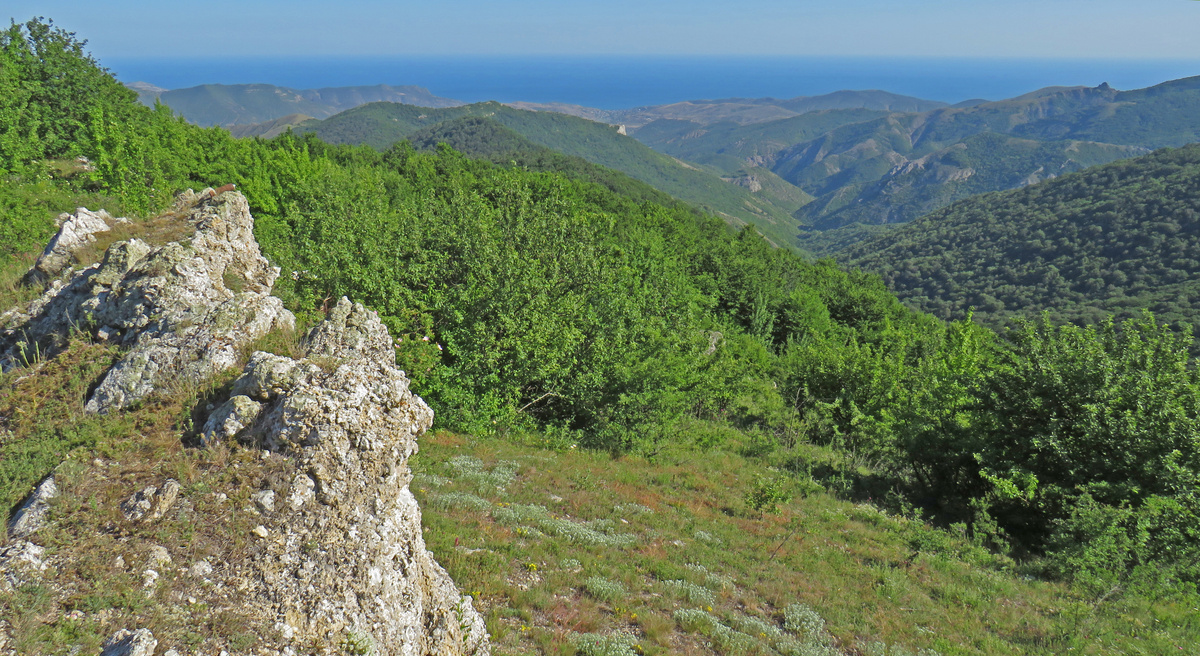Перевал Нижний Шелен
Фото предоставлено Полиной Морозовой 