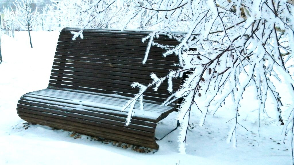     На смену теплому и влажному воздуху идет арктическая стужа. Фото: Анастасия Ковтонюк.