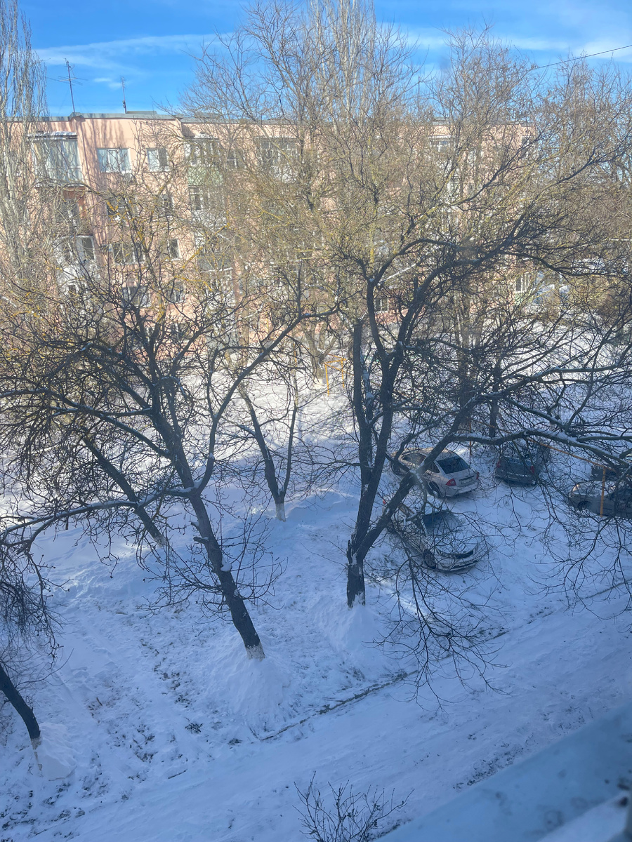 Сосед сам чистил дорожку и места для автомобилей!