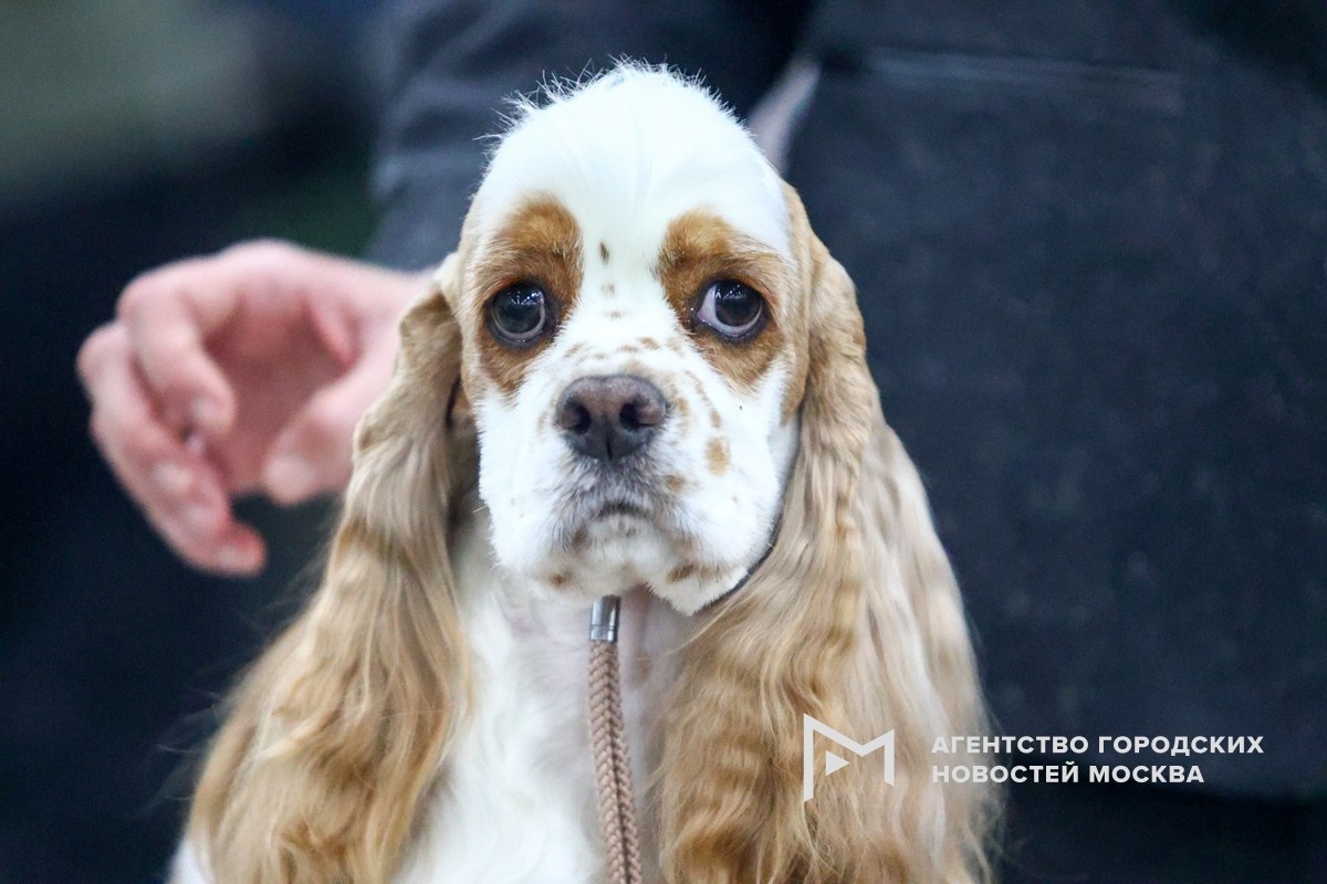 Фотограф: Ярослав Чингаев