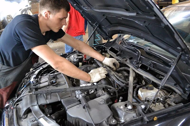 Фото из открытых источников 