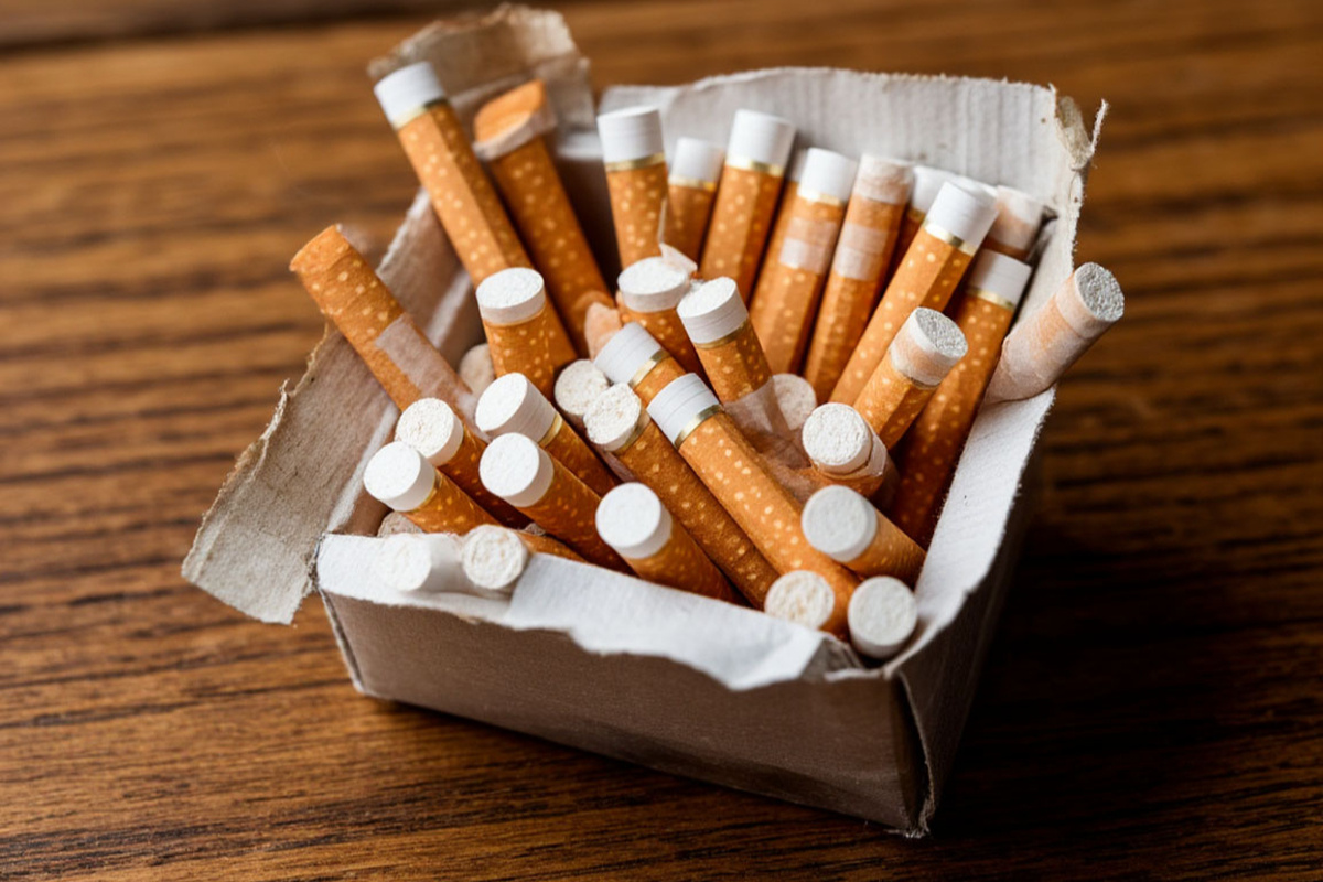    Фото: Коллаж RuNews24.ru