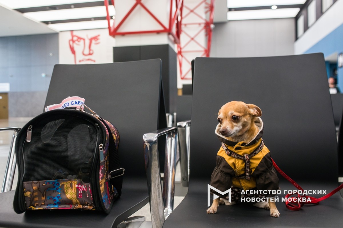 Фотограф: Игорь Иванко