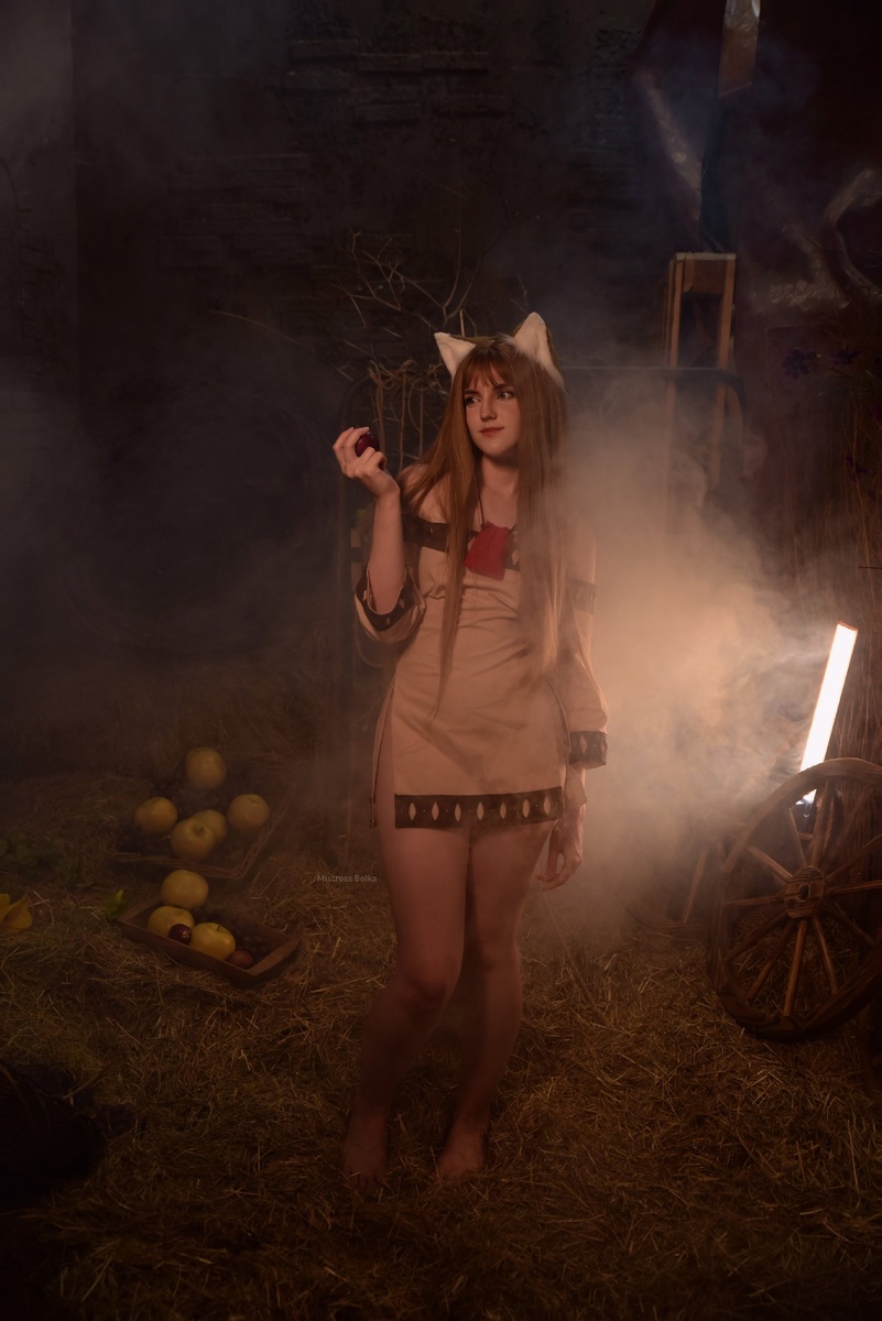 Волчица и пряности - Холо