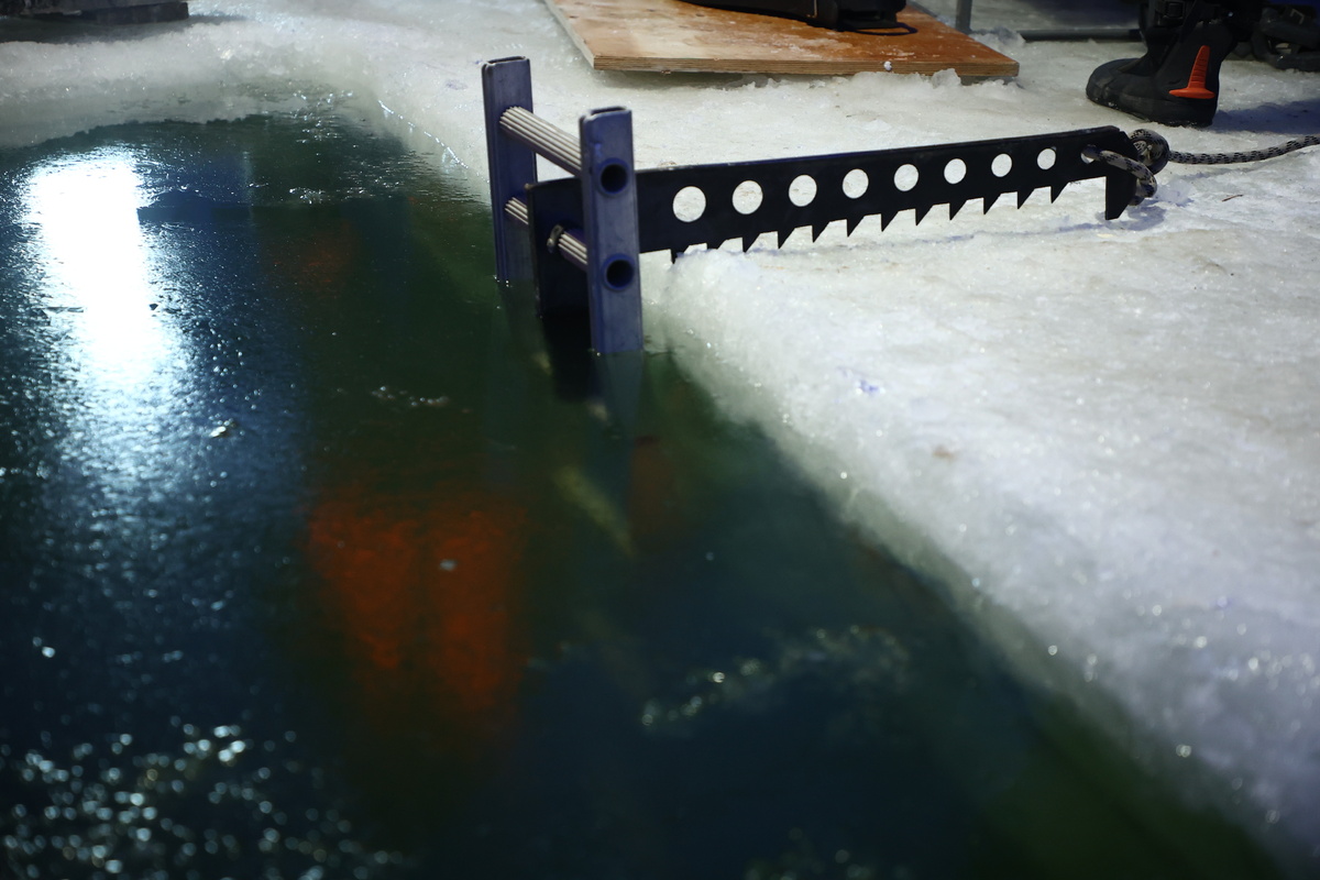    Фото: Ростислав Нетисов, nsknews.info