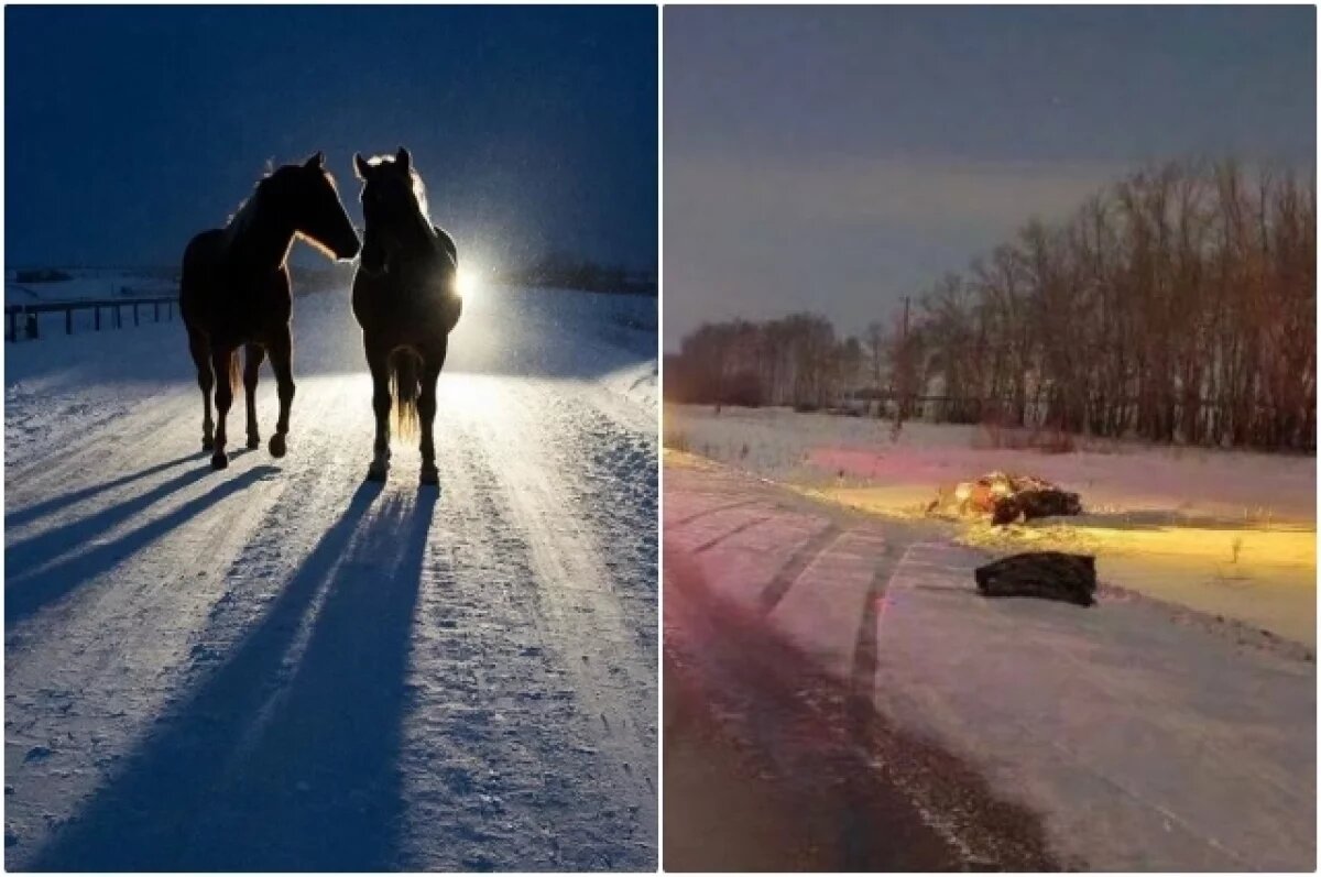    Машину «размотало» по трассе.
