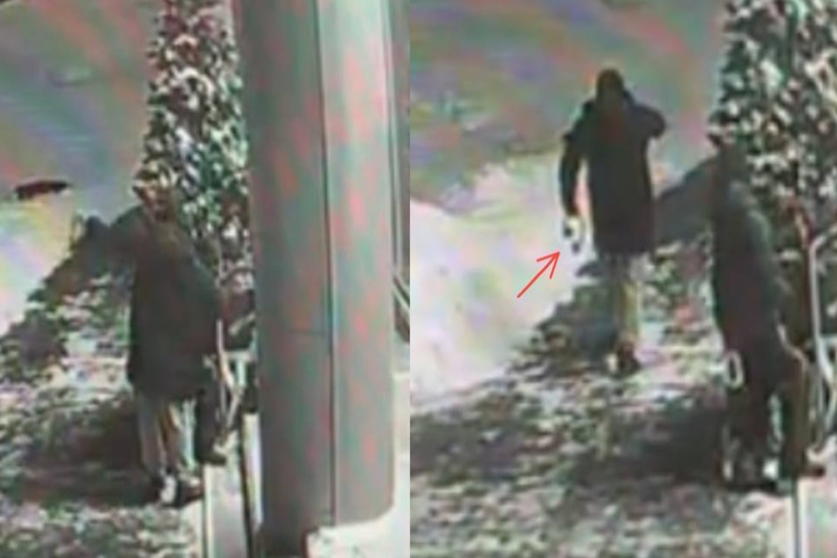    Фото: прокуратура Москвы / Telegram, источник: vm.ru