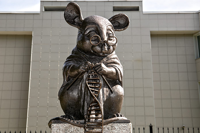    Фото из архива «Континента Сибирь»