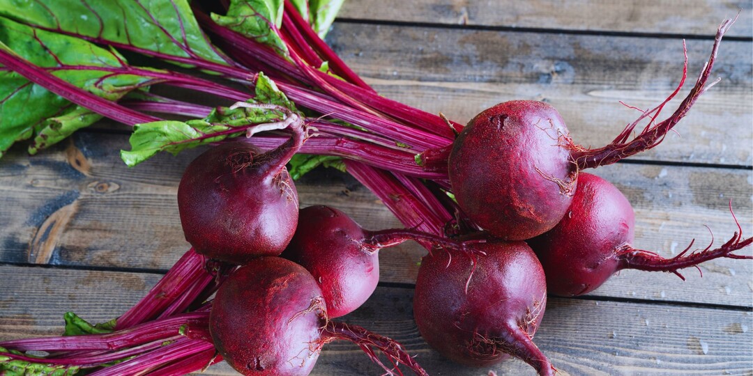 Сладкая свёкла как в детстве: всё решает правильный сорт