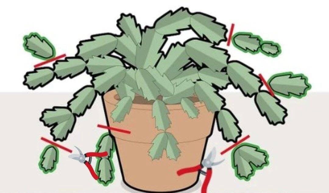 Применрно так