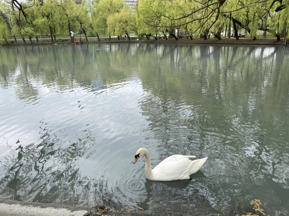    Фото: vladgazeta.online