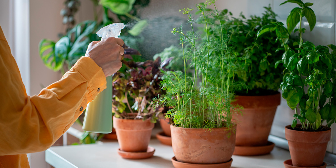 Лунный посевной календарь на февраль 2026 для садоводов и огородников