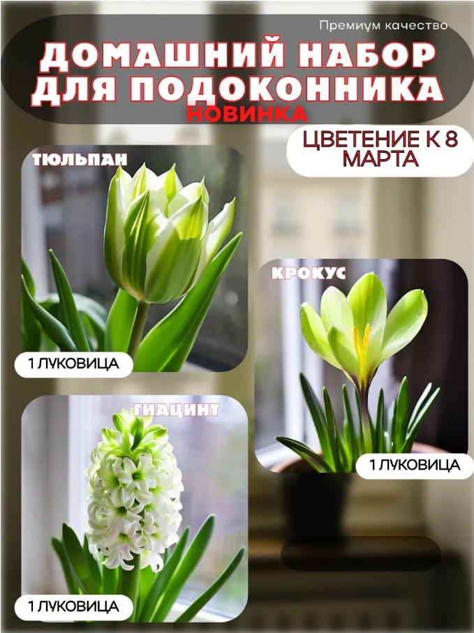 Этот набор я купила. Карточка продавца с ВБ. Не реклама