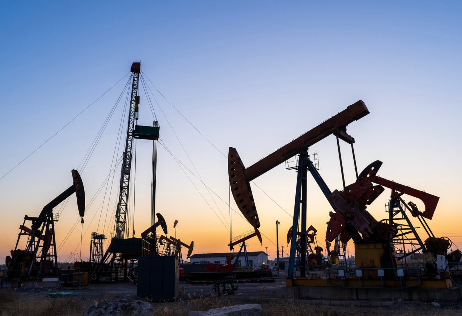    Shutterstock/FOTODOM