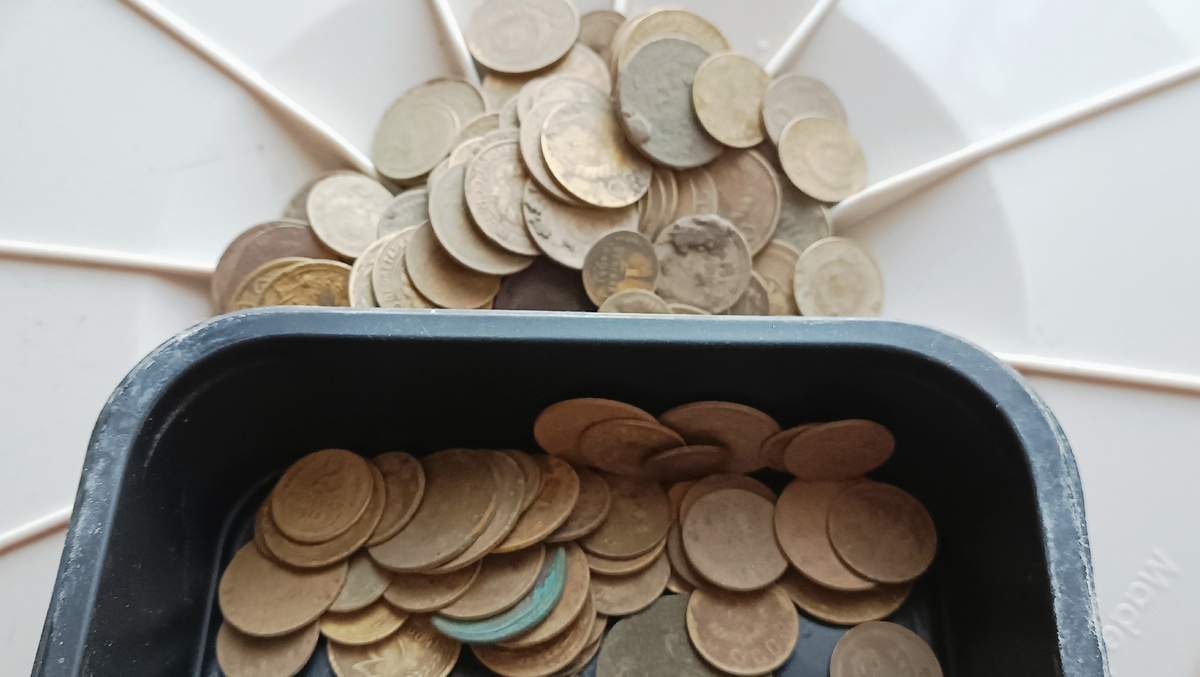 Золото партии, рамочники, щитовики.