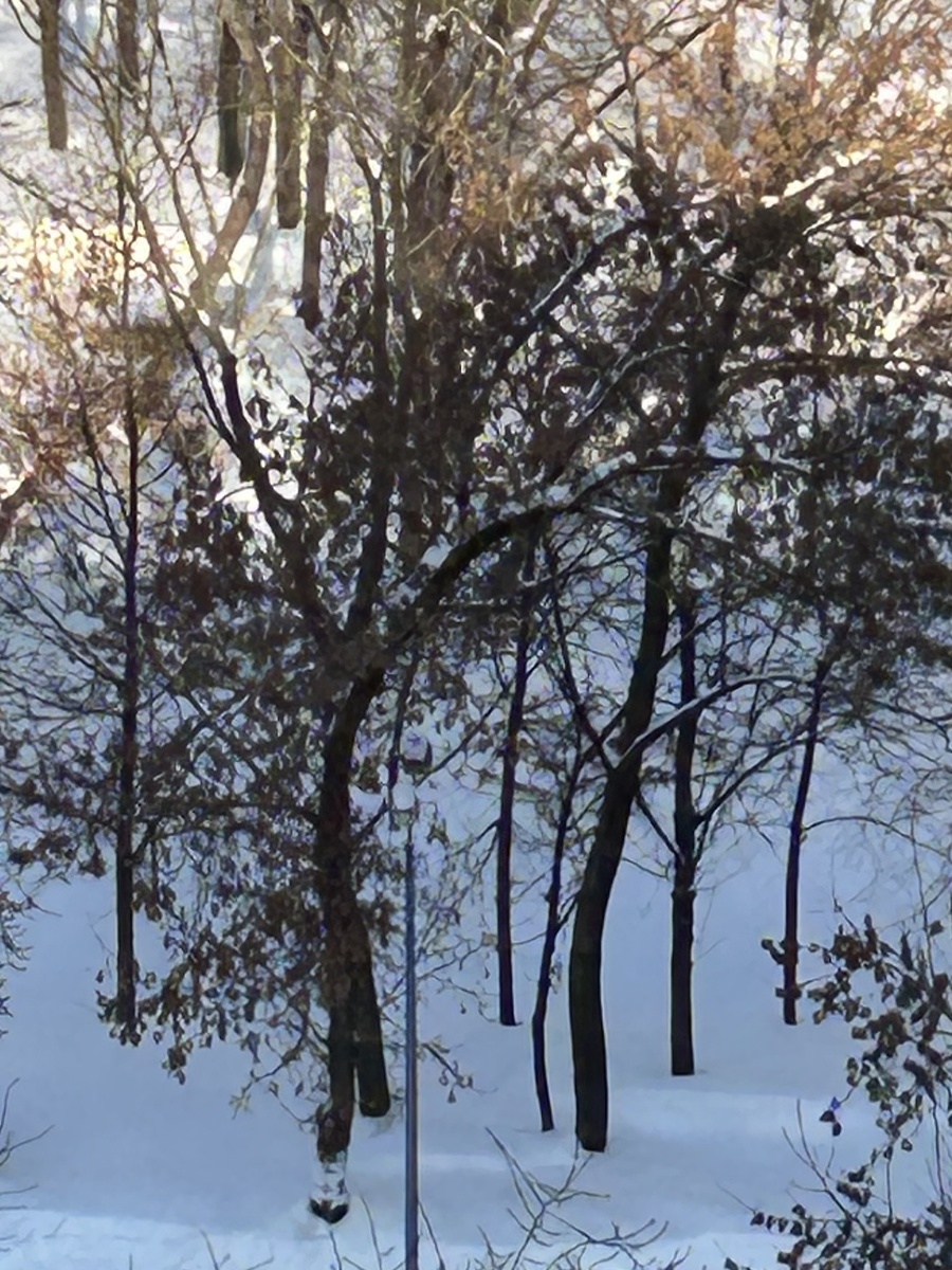 Это реальность