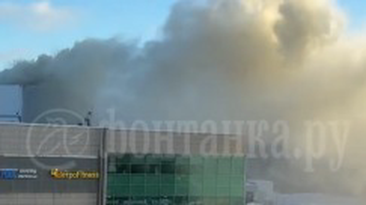    Фото: Telegram / Фонтанка SPB Online