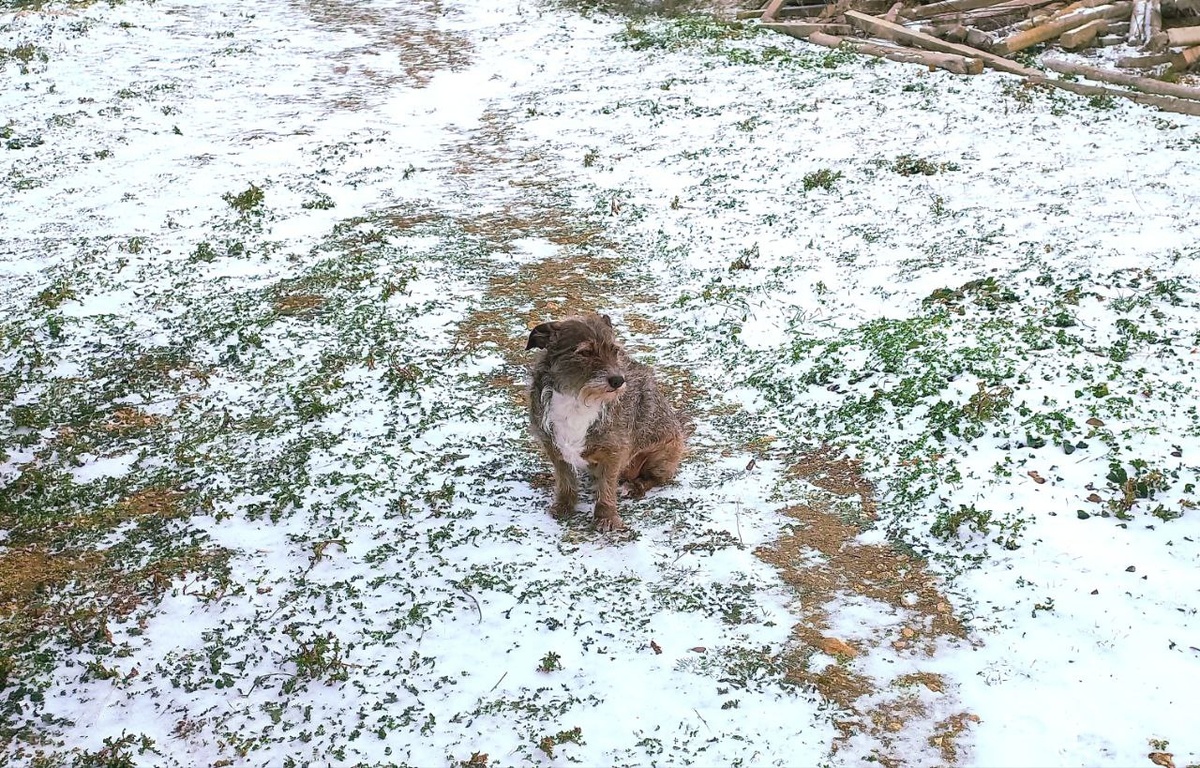 Яна слилась с пейзажем. 