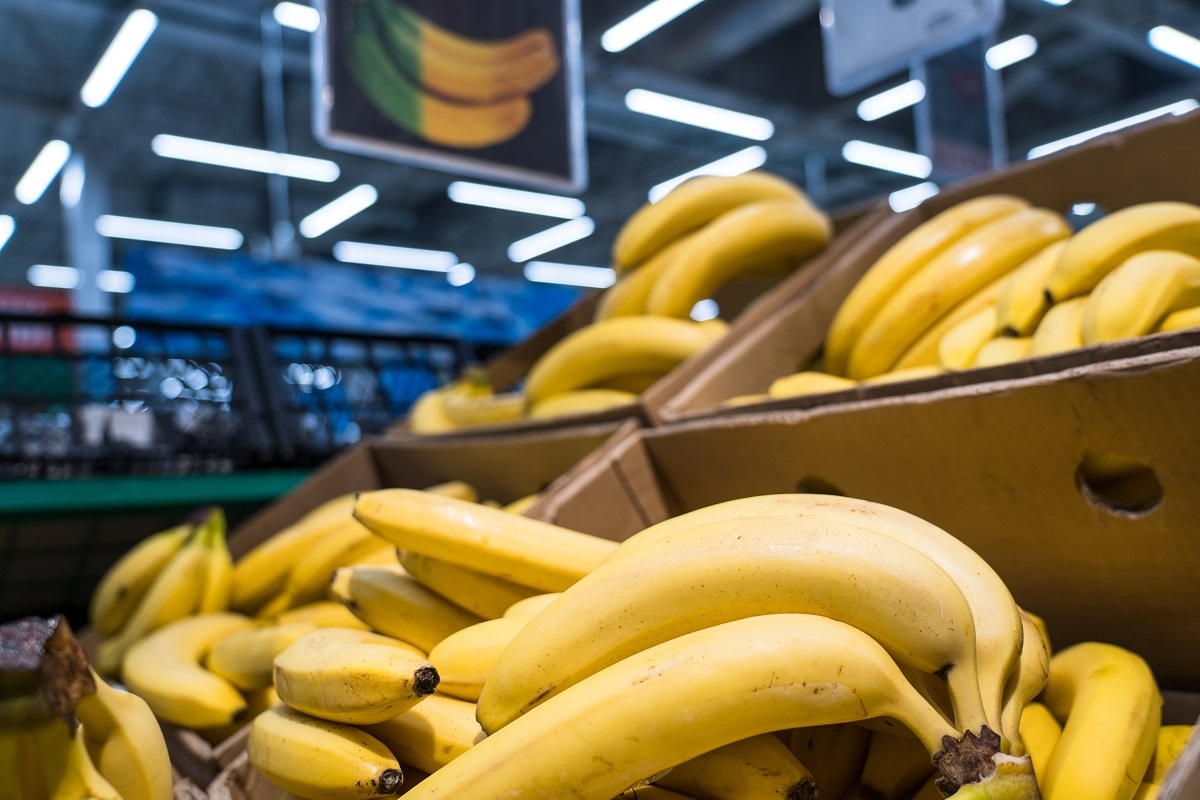 Фото: Александр Плонский / «Агроэксперт»