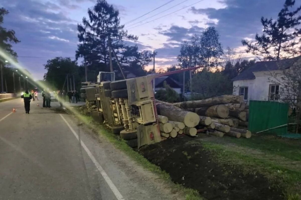    Сами виноваты?