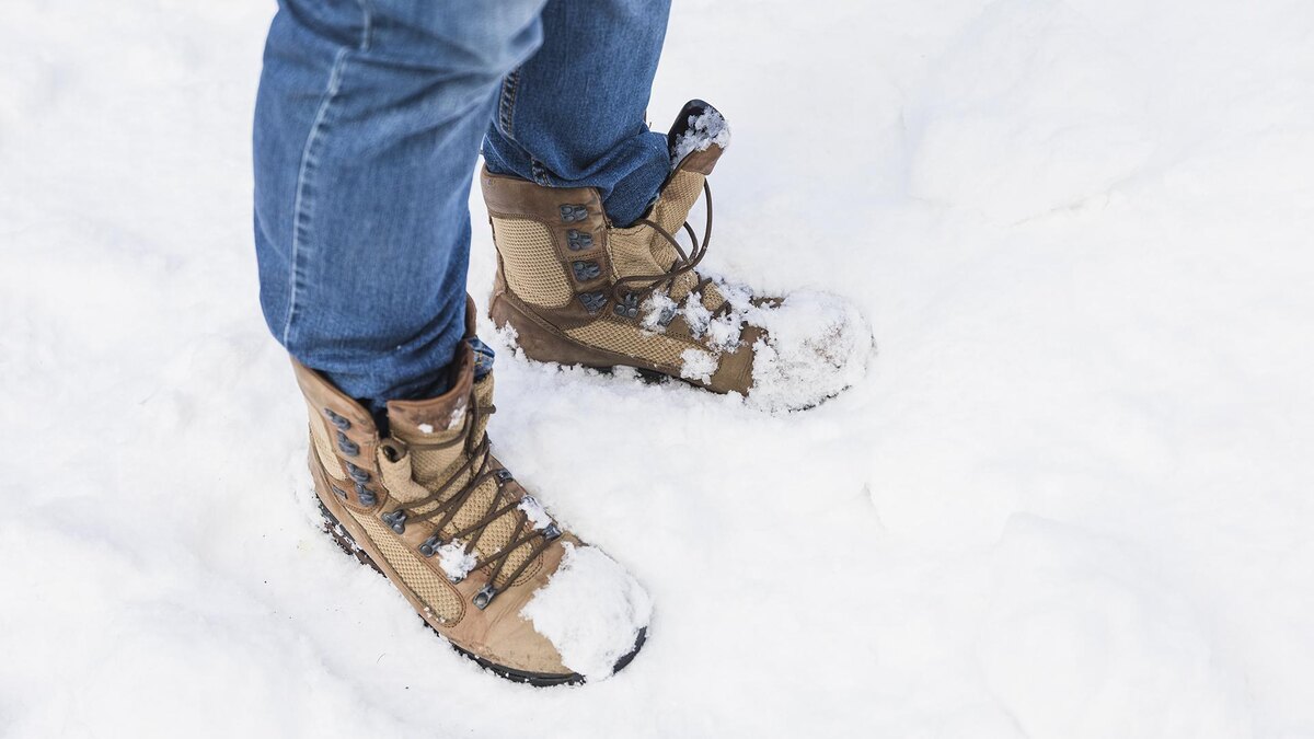 Фото: freepik.com