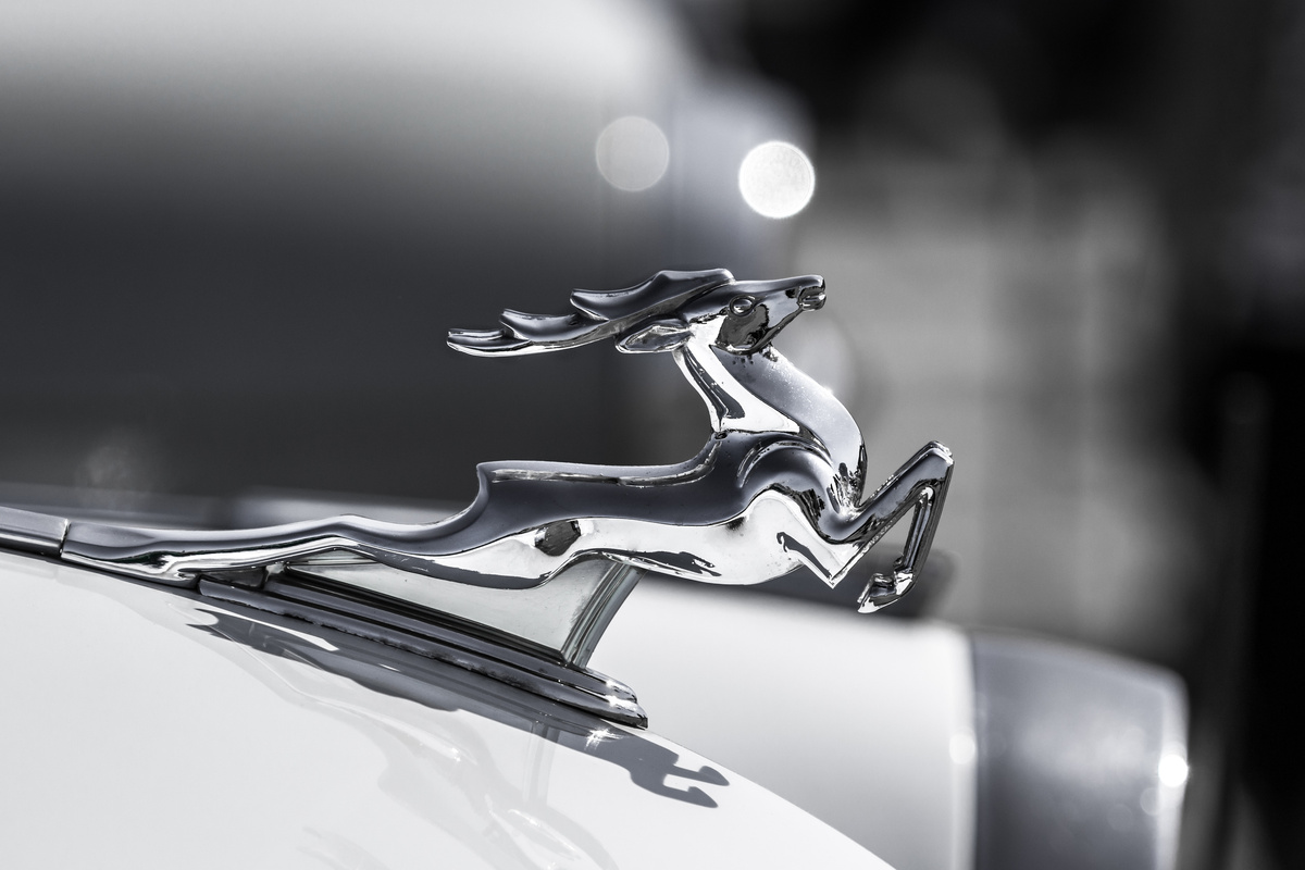 Larysa Shcherbyna/istock