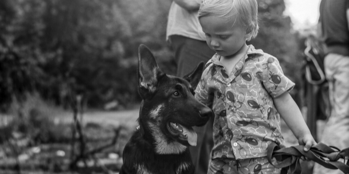 В советские годы регистрация собак была обязательной: без номерного жетона питомец был «вне закона». Фото: Главархив Москвы / С. Тетерин