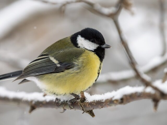    Фото: портал мэра и правительства Москвы/Дарья Мясина