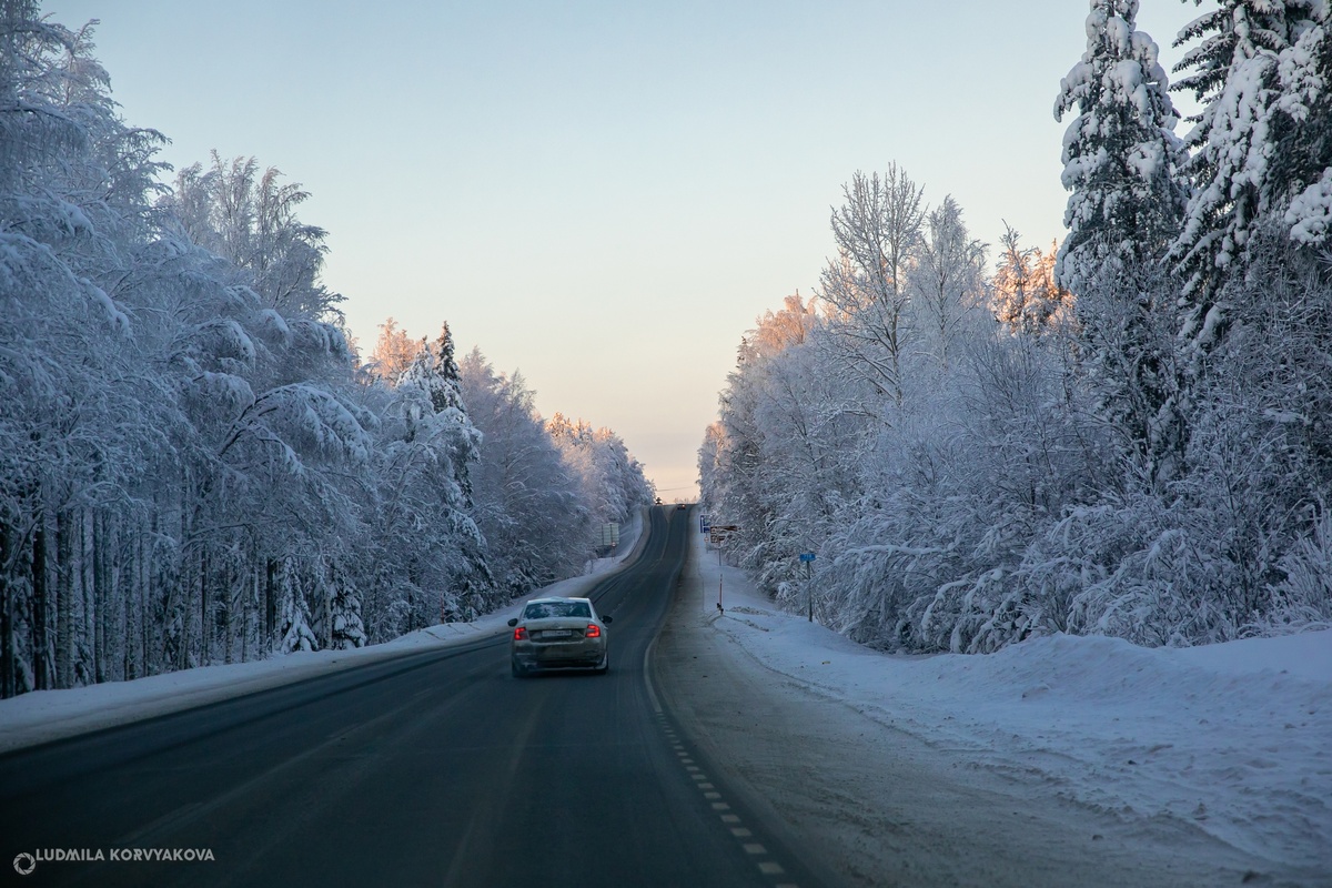    фото: © Столица на Онего