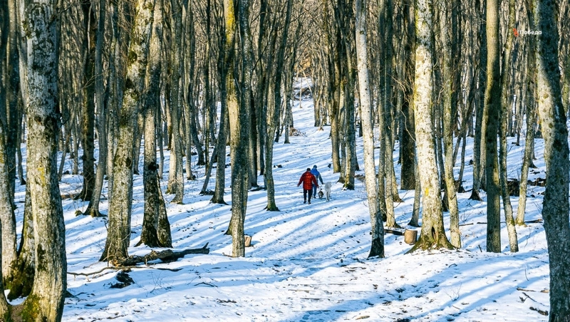      Фото: ИА «Победа26»