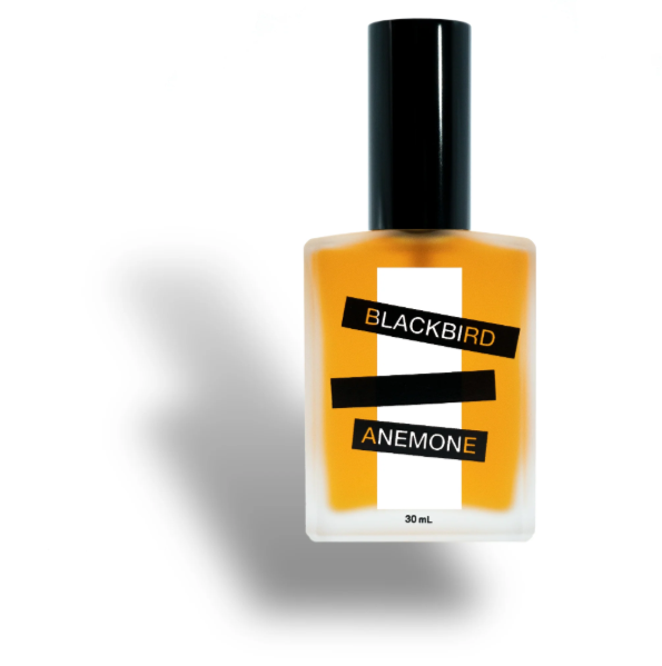 «Anemone» Blackbird.