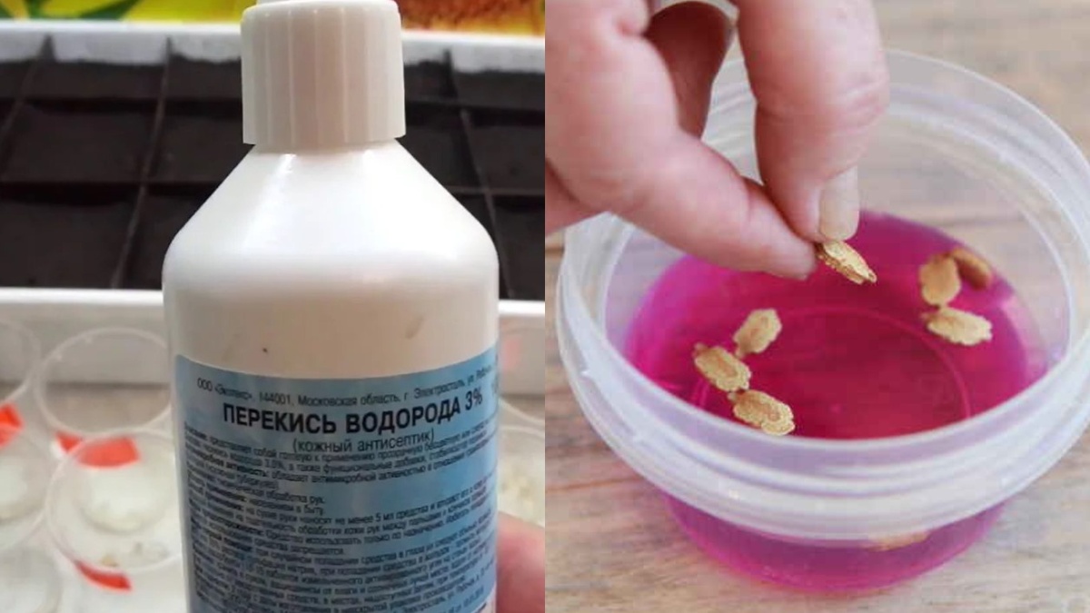 Классические методы: от простой воды до перекиси водорода