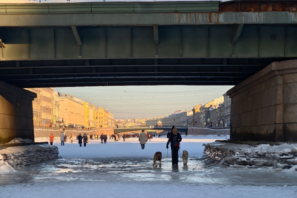    3 февраля в Петербурге выглянуло солнце. Алексей БУЛАТОВ