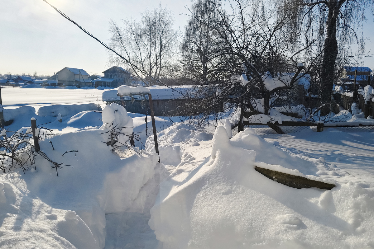 Со двора картина чуть лучше, не такие глубокие сугробы. Фото автора канала