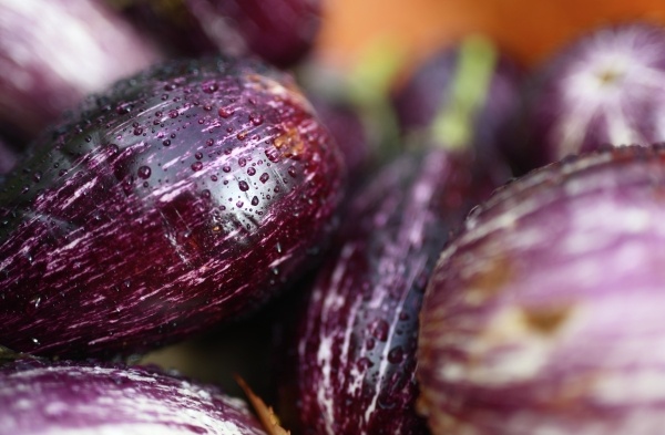 Фото: РИА Новости/Владимир Астапкович