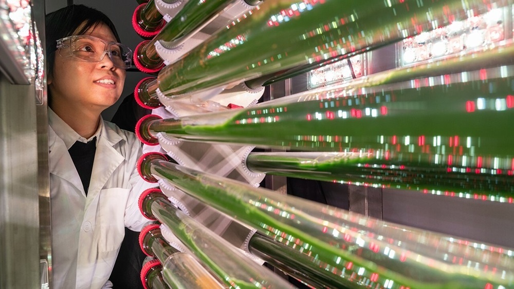     Фото: University of Missouri