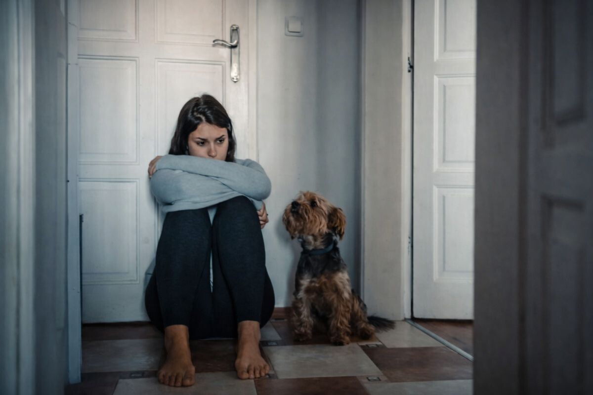 Собака всё считывает 