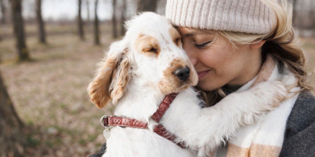 Вы молчите, а собака всё считывает: учёные зафиксировали связь на физическом уровне