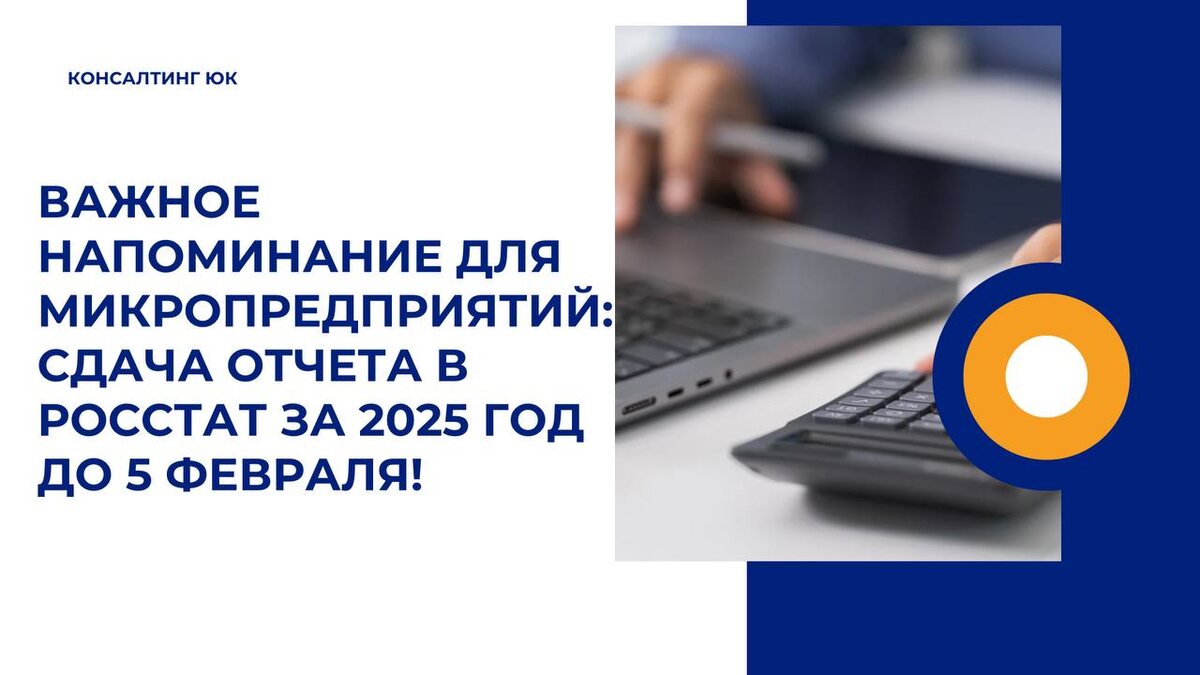 Сдача отчета в Росстат за 2025 год до 5 февраля