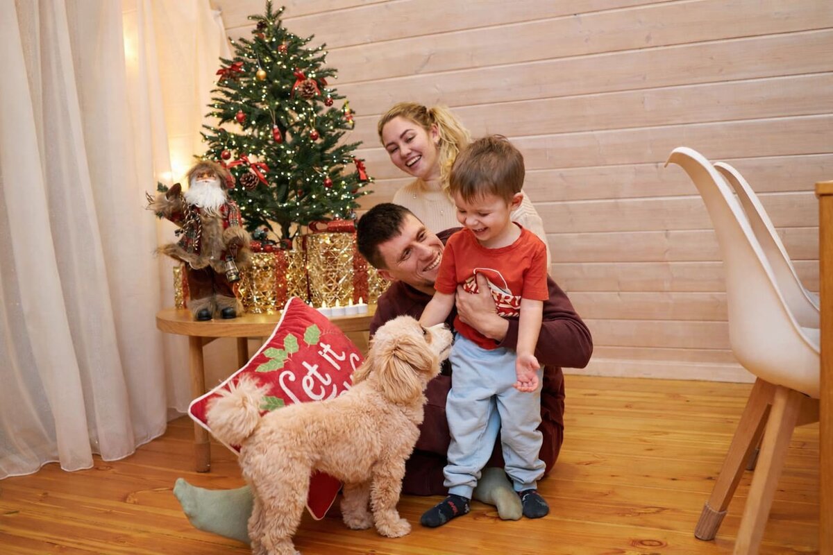 Загородный отдых с питомцами без ограничений в Aframe Happy