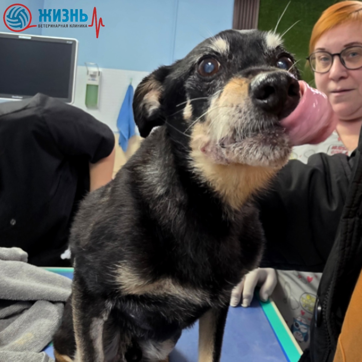 Марти после операции