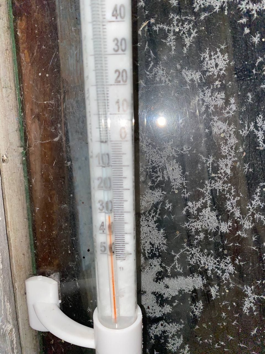 Сегодня минус 31 