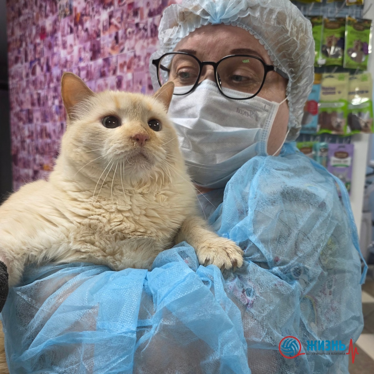 Стоматология для животных в Калуге 