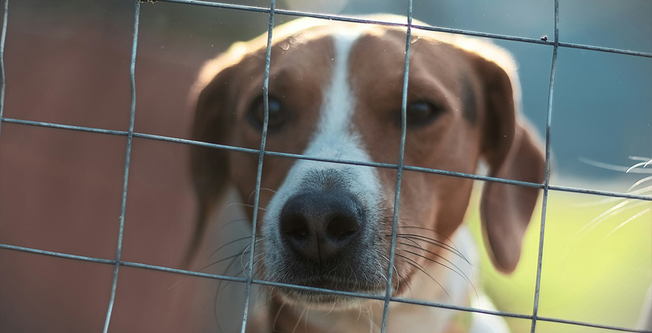    Фото: David Gomez/Unsplash