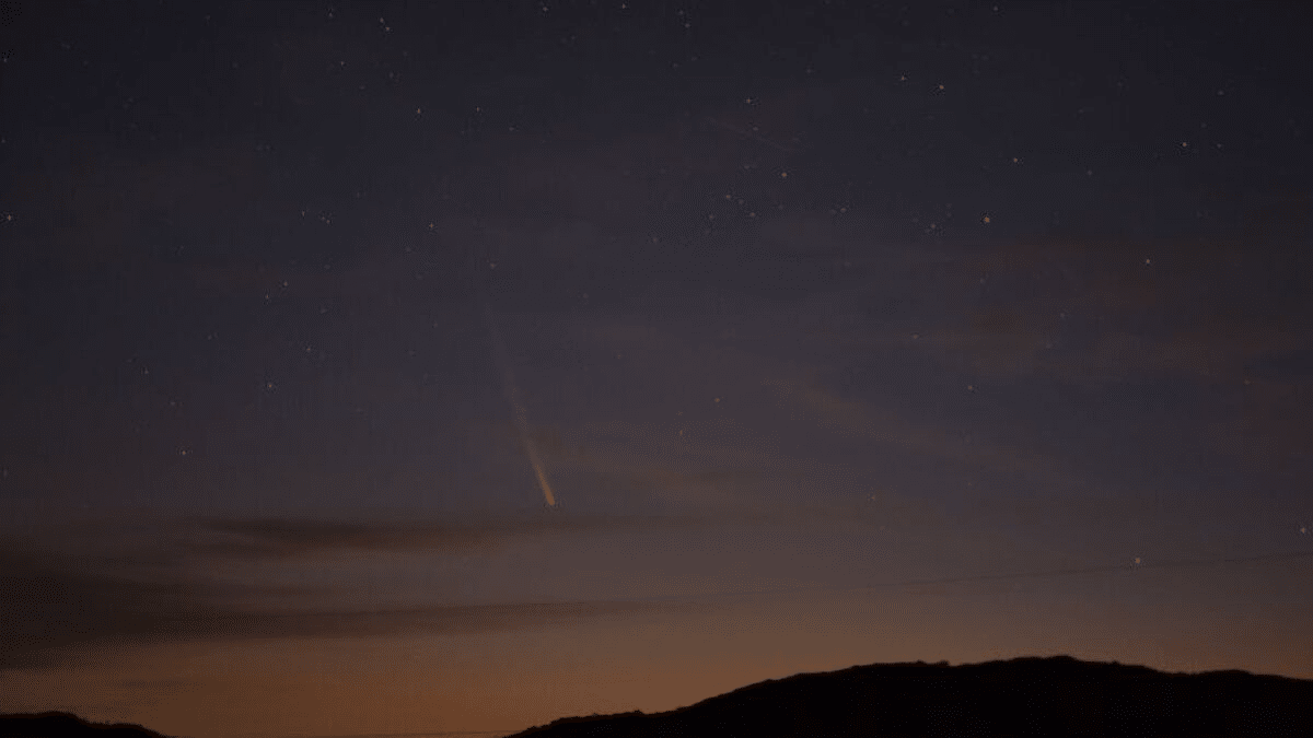 Фото из свободных источников